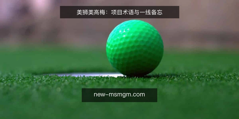 美狮美高梅:项目术语与一线备忘 — 现场信号:需要留意的术语与迹象 配图