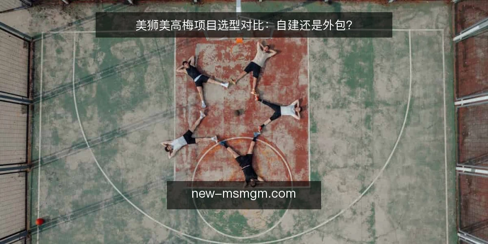 美狮美高梅项目选型对比：自建还是外包？ — 场景设定：项目启动前的选择困境 配图