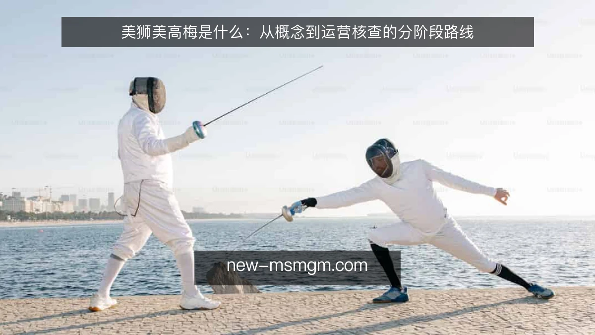 美狮美高梅是什么：从概念到运营核查的分阶段路线