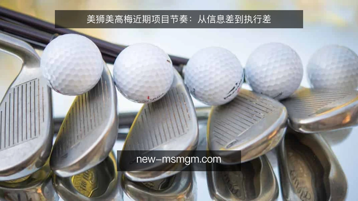 美狮美高梅近期项目节奏:从信息差到执行差
