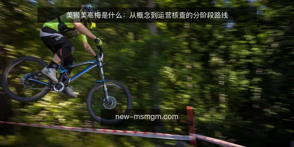 美狮美高梅是什么：从概念到运营核查的分阶段路线 — 基线：明确美狮美高梅的定义与边界 配图