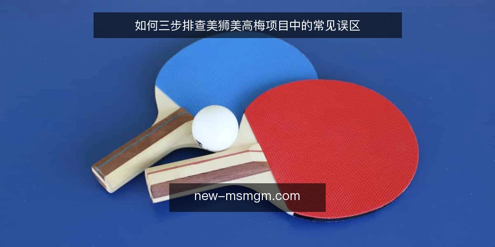如何三步排查美狮美高梅项目中的常见误区 — 误区一：信息越全越好，先收集再动手 配图