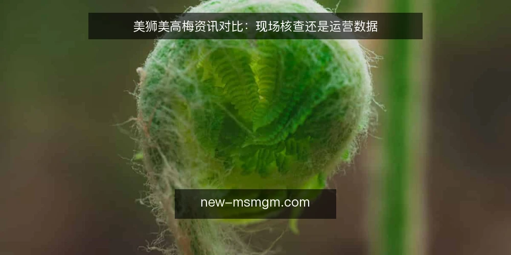 美狮美高梅资讯对比：现场核查还是运营数据 — 基线：明确对比与选型边界 配图