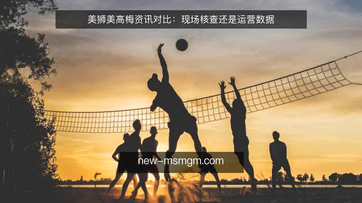 美狮美高梅资讯对比：现场核查还是运营数据