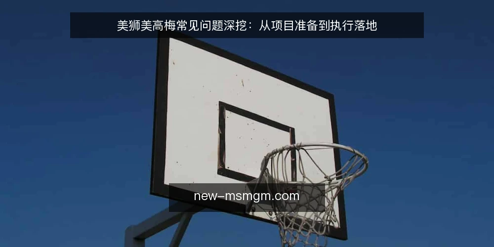 美狮美高梅常见问题深挖:从项目准备到执行落地 — 美狮美高梅项目前需要做哪些准备? 配图