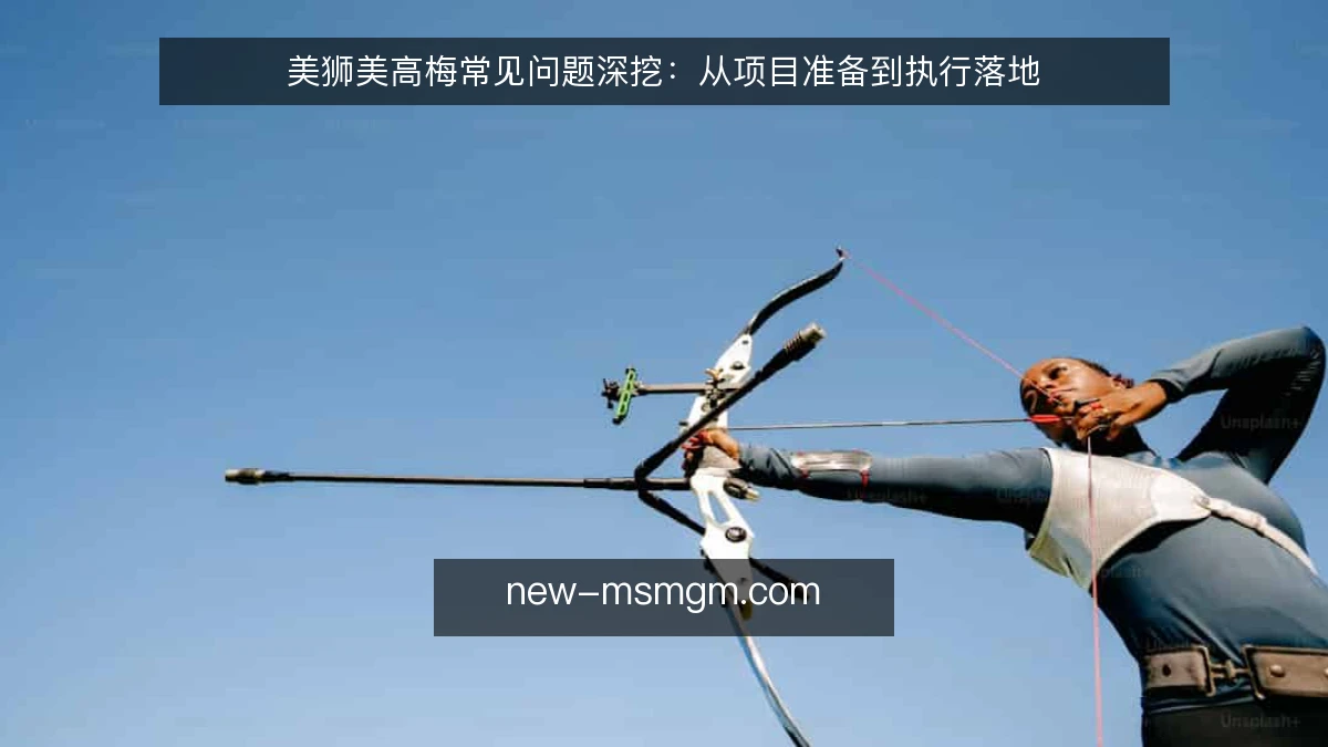 美狮美高梅常见问题深挖:从项目准备到执行落地