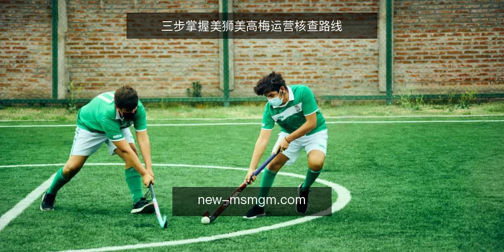 三步掌握美狮美高梅运营核查路线 — 准备：明确核查范围与基础资料 配图