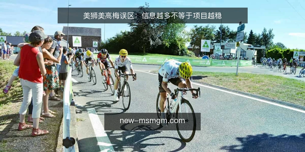 美狮美高梅误区：信息越多不等于项目越稳 — 误区一：资料越全，项目越稳 配图