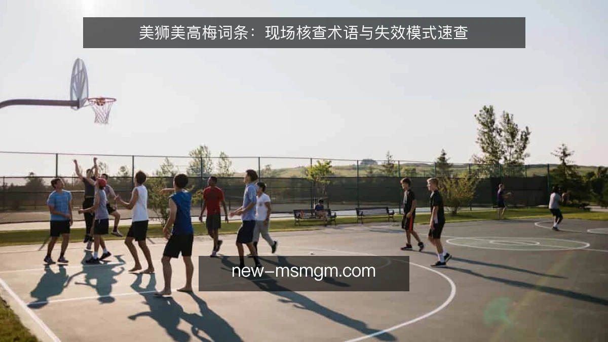 美狮美高梅词条:现场核查术语与失效模式速查