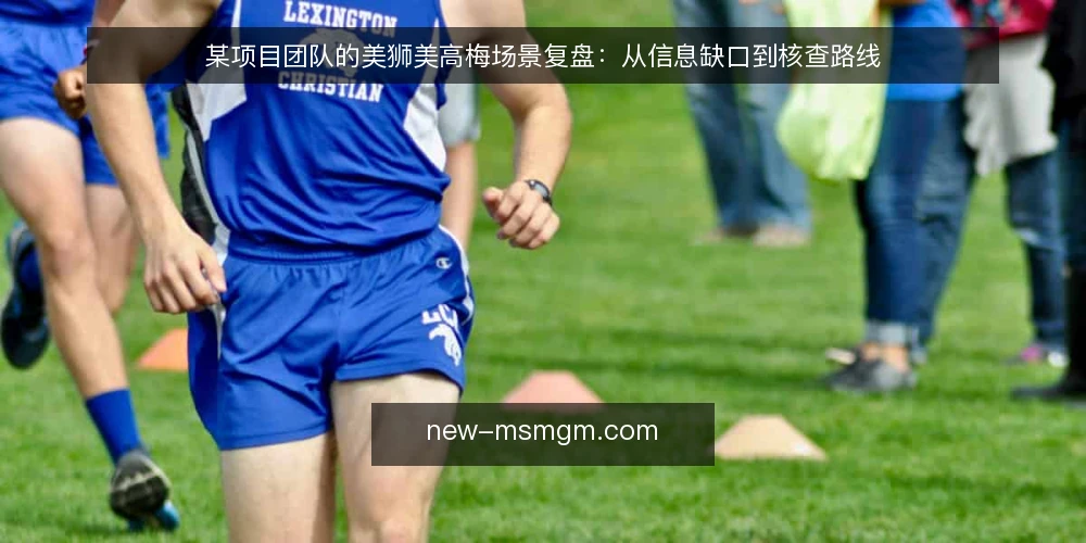 某项目团队的美狮美高梅场景复盘:从信息缺口到核查路线 — 场景设定:信息缺口带来的决策停滞 配图