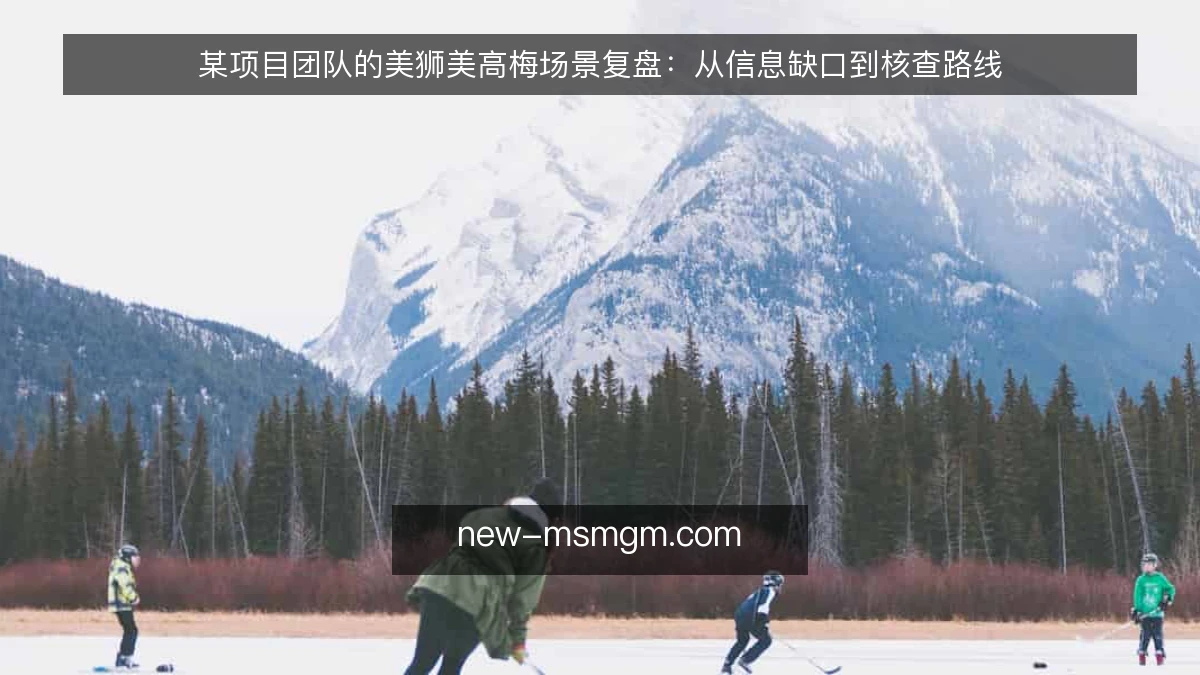 某项目团队的美狮美高梅场景复盘:从信息缺口到核查路线