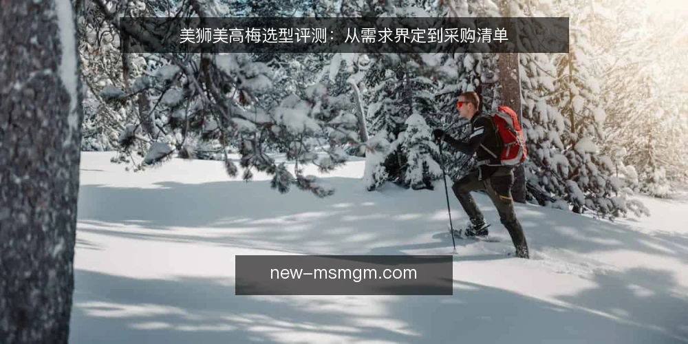 美狮美高梅选型评测:从需求界定到采购清单 — 明确采购需求与评估范围 配图