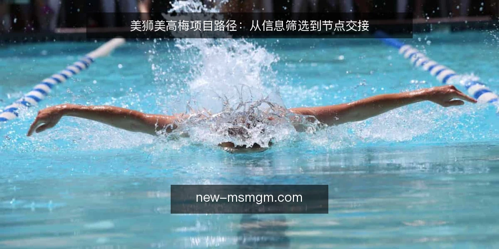 美狮美高梅项目路径：从信息筛选到节点交接 — 基线校准：先明确目标与约束 配图