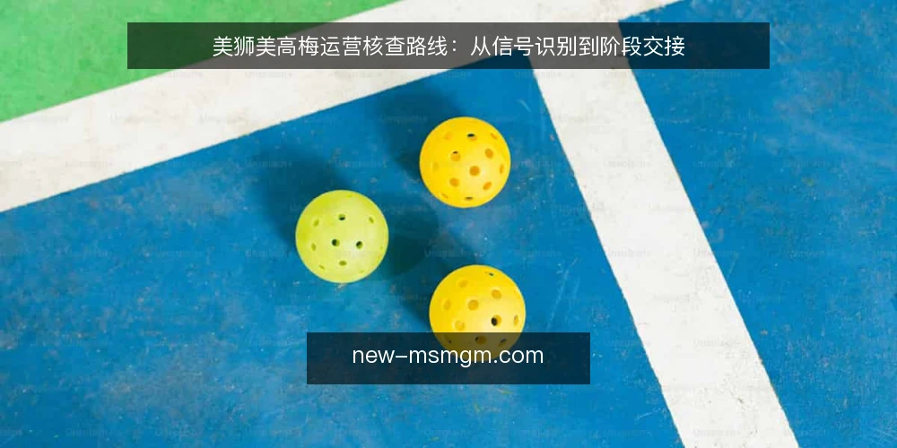 美狮美高梅运营核查路线:从信号识别到阶段交接 — 核查起点:明确运营信号与信息边界 配图