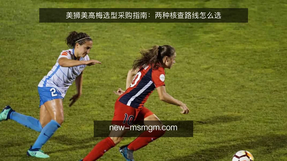 美狮美高梅选型采购指南：两种核查路线怎么选