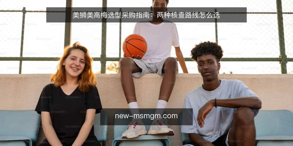 美狮美高梅选型采购指南：两种核查路线怎么选 — 先定决策标准：这次采购要解决什么 配图
