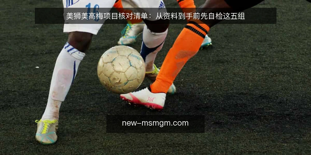 美狮美高梅项目核对清单：从资料到手前先自检这五组 — 为什么现在要做一次自检 配图