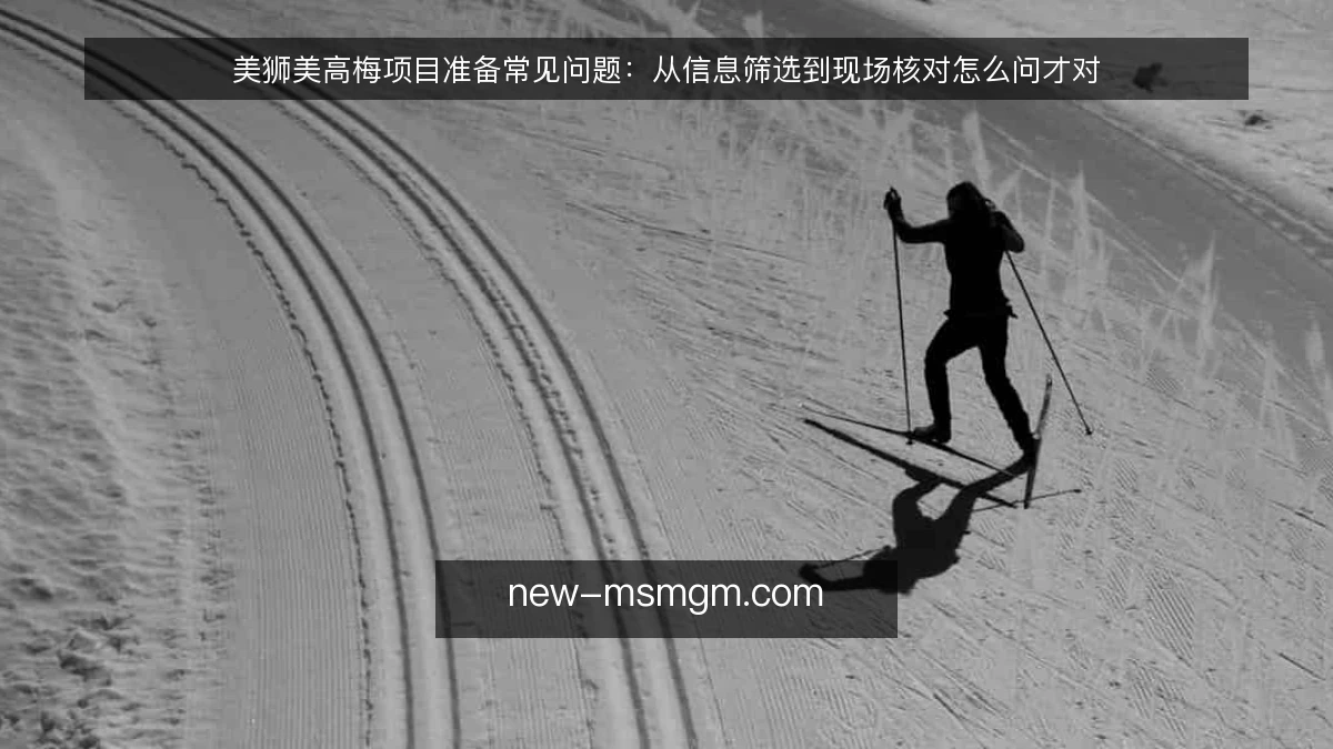 美狮美高梅项目准备常见问题：从信息筛选到现场核对怎么问才对
