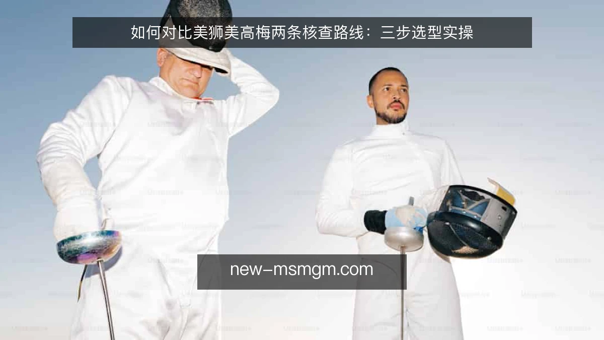 如何对比美狮美高梅两条核查路线:三步选型实操