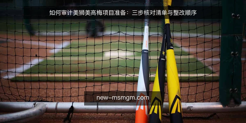 如何审计美狮美高梅项目准备：三步核对清单与整改顺序 — 为什么现在要做一次准备审计 配图