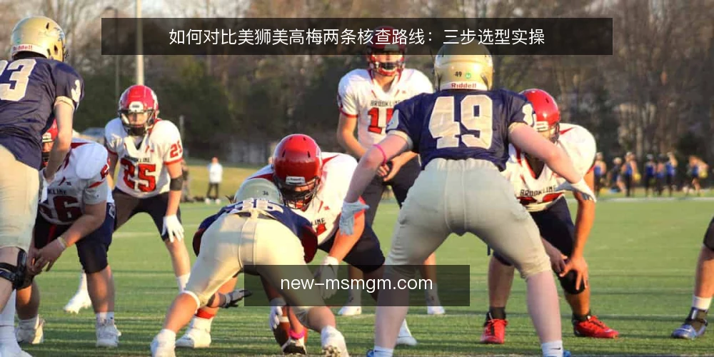 如何对比美狮美高梅两条核查路线:三步选型实操 — 先定决策标准:怎样判断哪条路线合适 配图